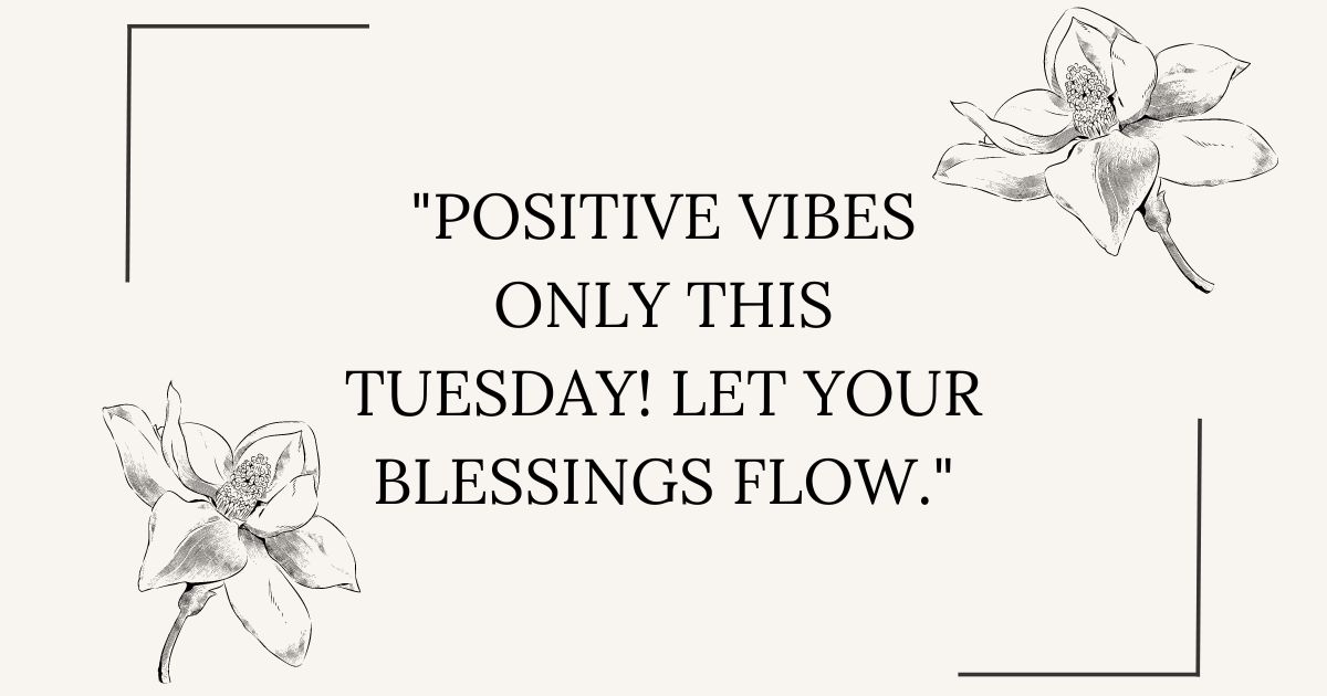 Tuesday Positive Vibes