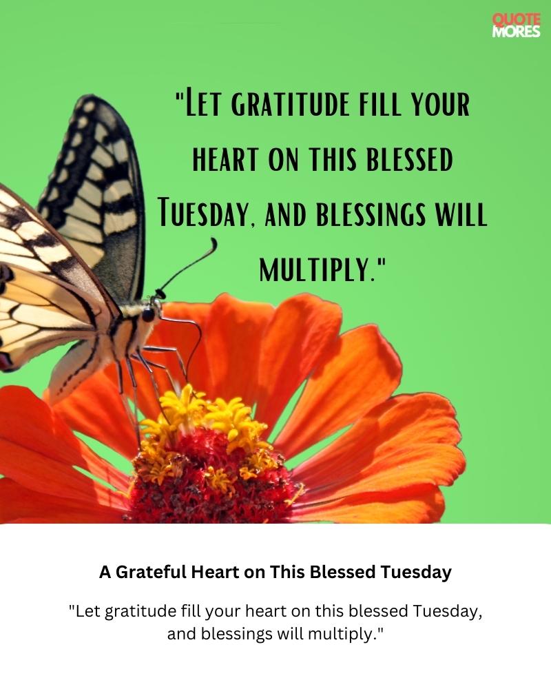 A Grateful Heart on This Blessed Tuesday