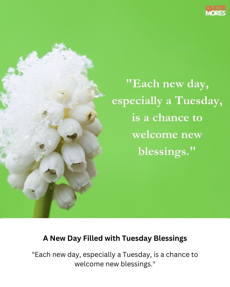 A New Day Filled with Tuesday Blessings