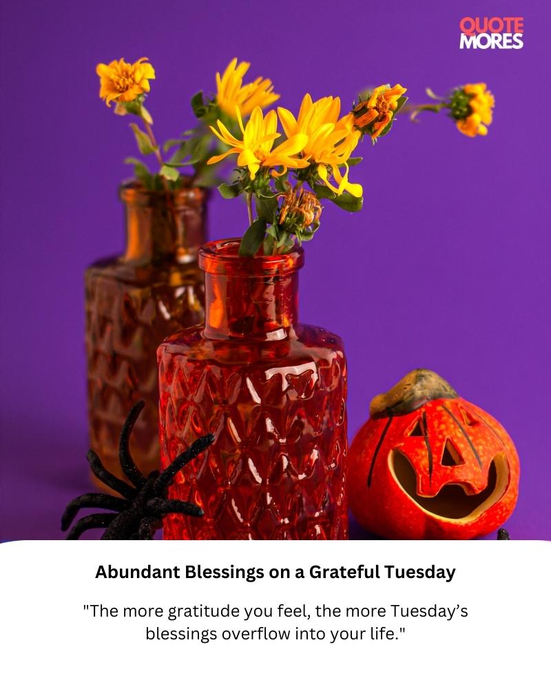 Abundant Blessings on a Grateful Tuesday