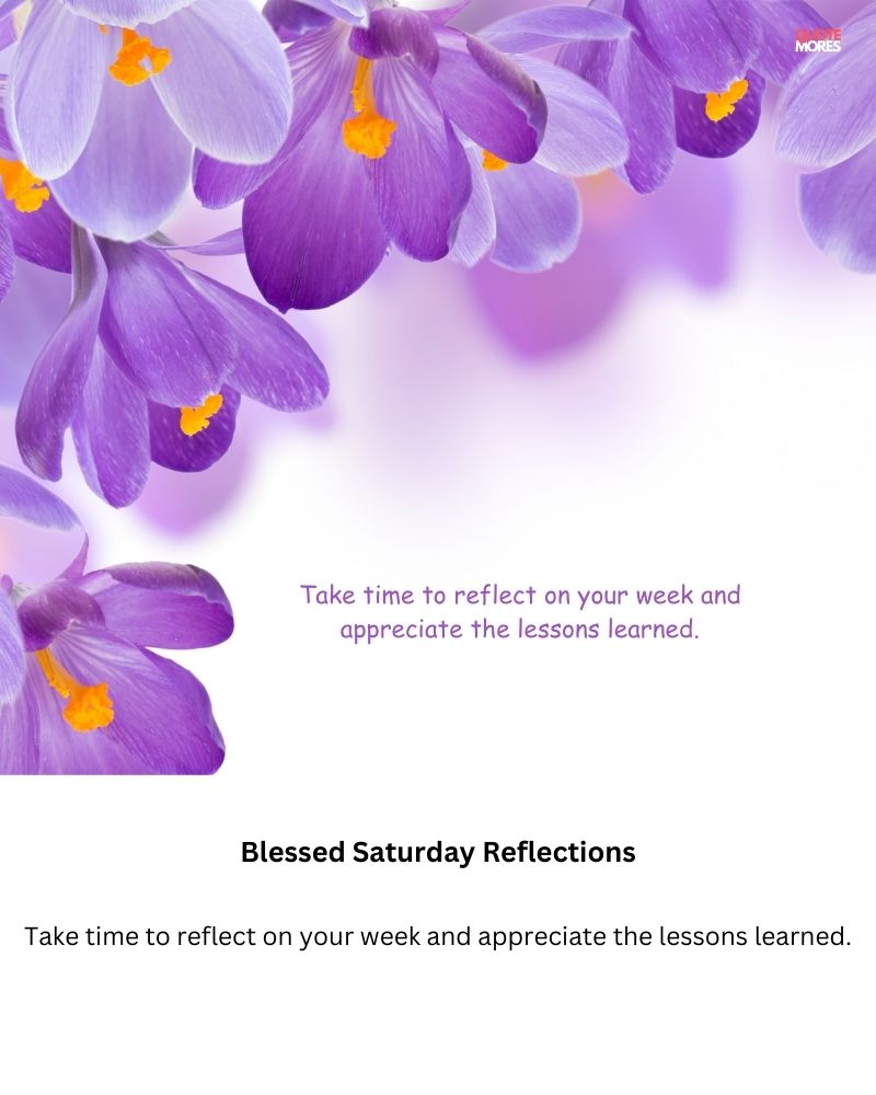 Blessed Saturday Reflections