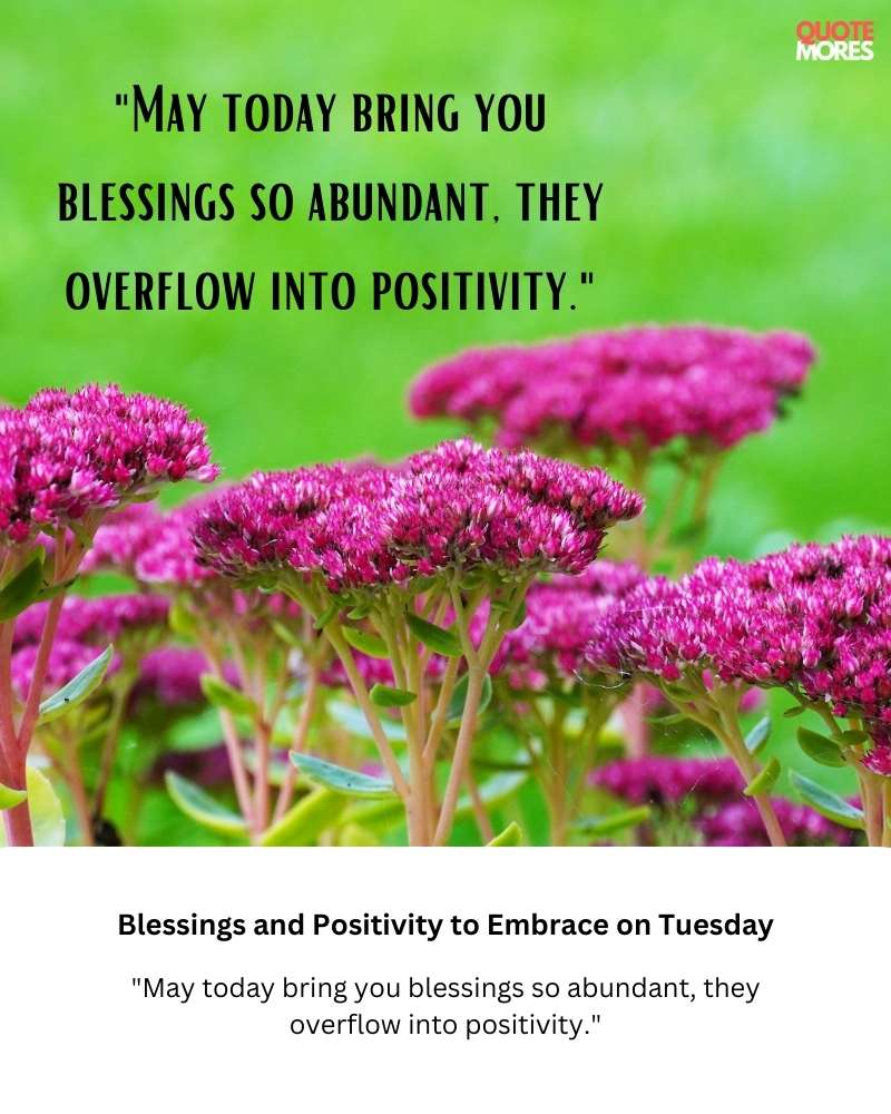 Blessings and Positivity to Embrace on Tuesday