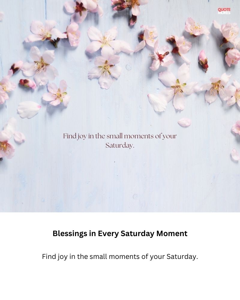 Blessings in Every Saturday Moment