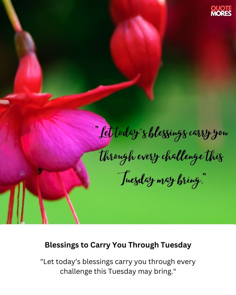 Blessings to Carry You Through Tuesday