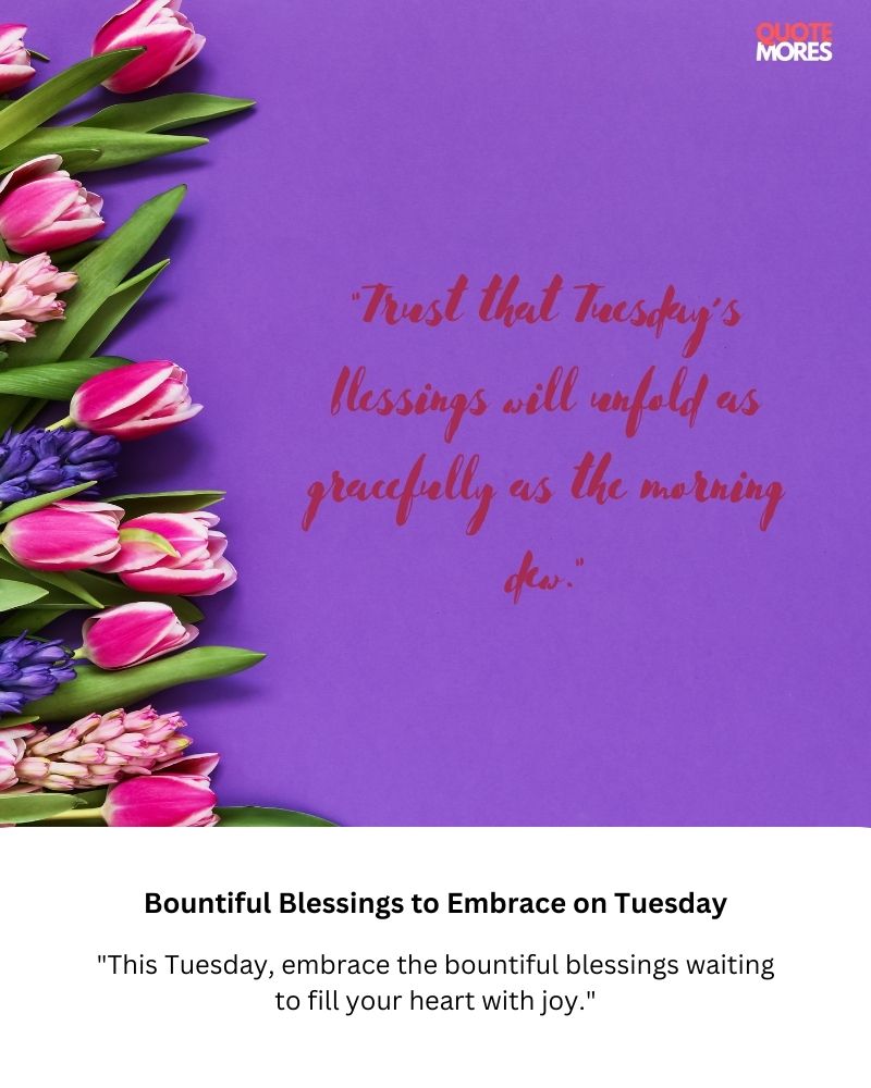 Bountiful Blessings to Embrace on Tuesday