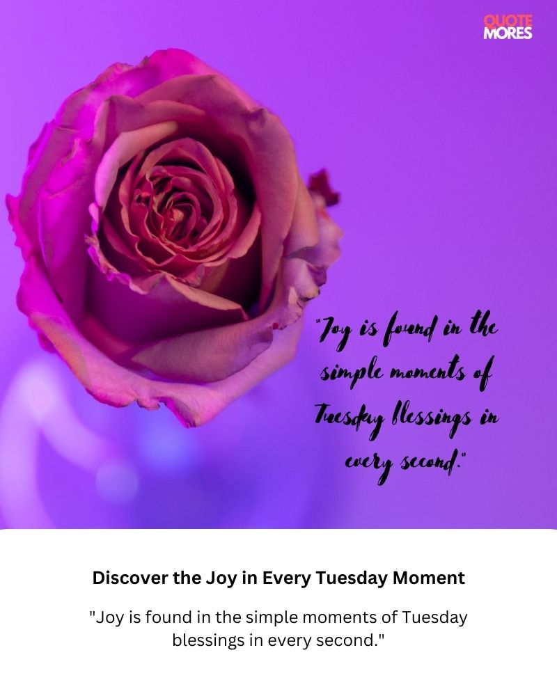 Discover the Joy in Every Tuesday Moment