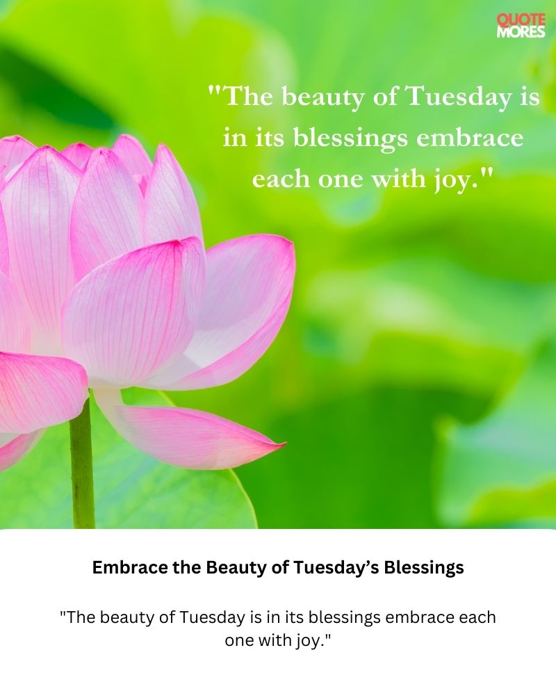 Embrace the Beauty of Tuesday’s Blessings