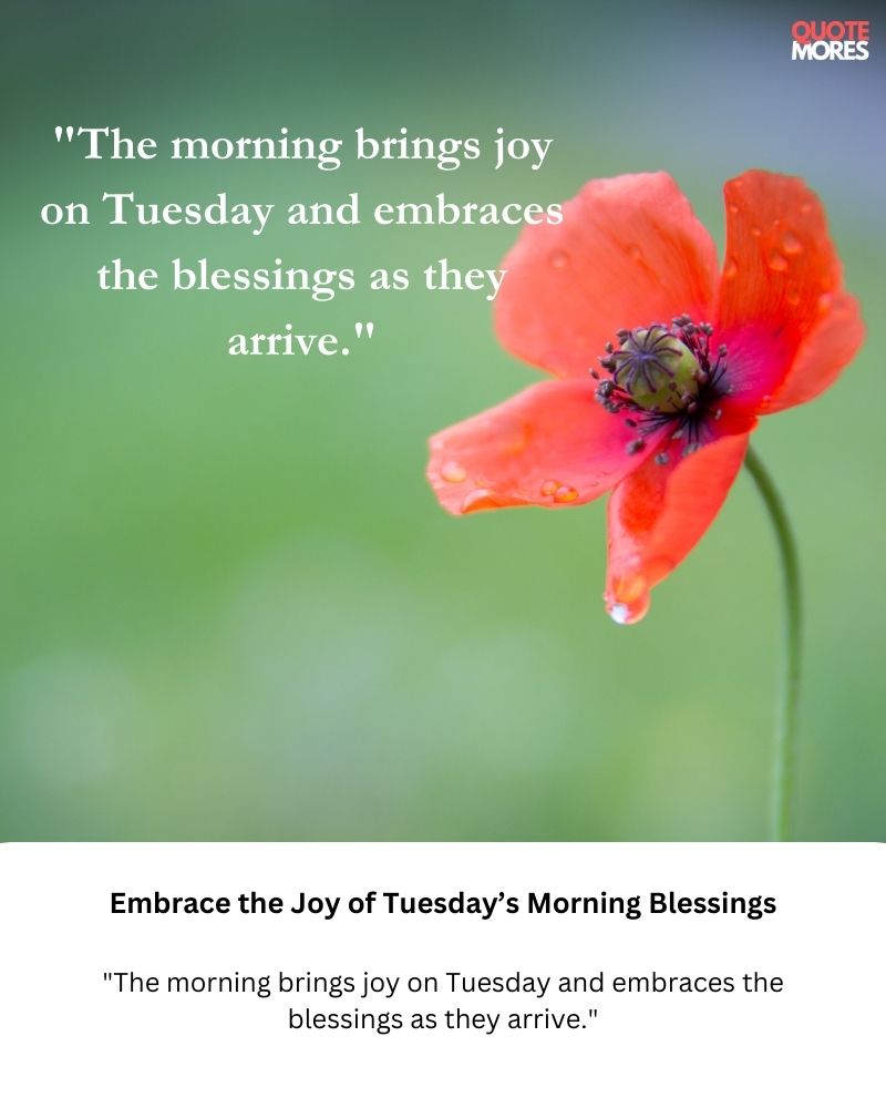 Embrace the Joy of Tuesday’s Morning Blessings