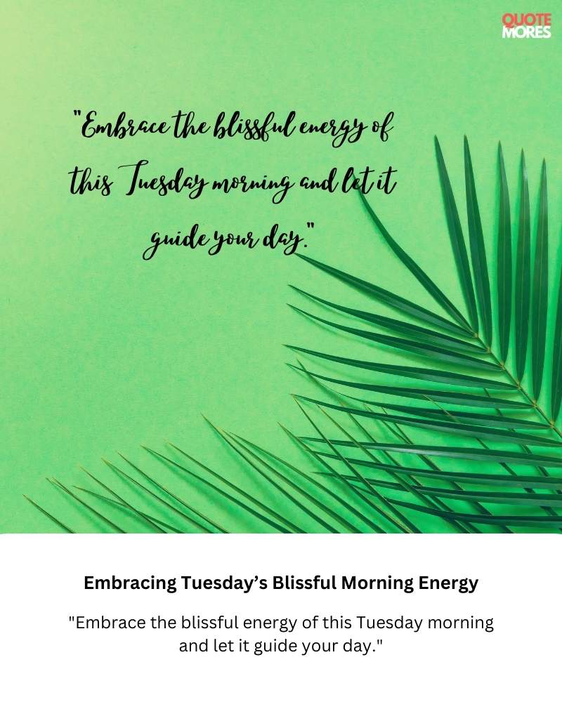 Embracing Tuesday’s Blissful Morning Energy