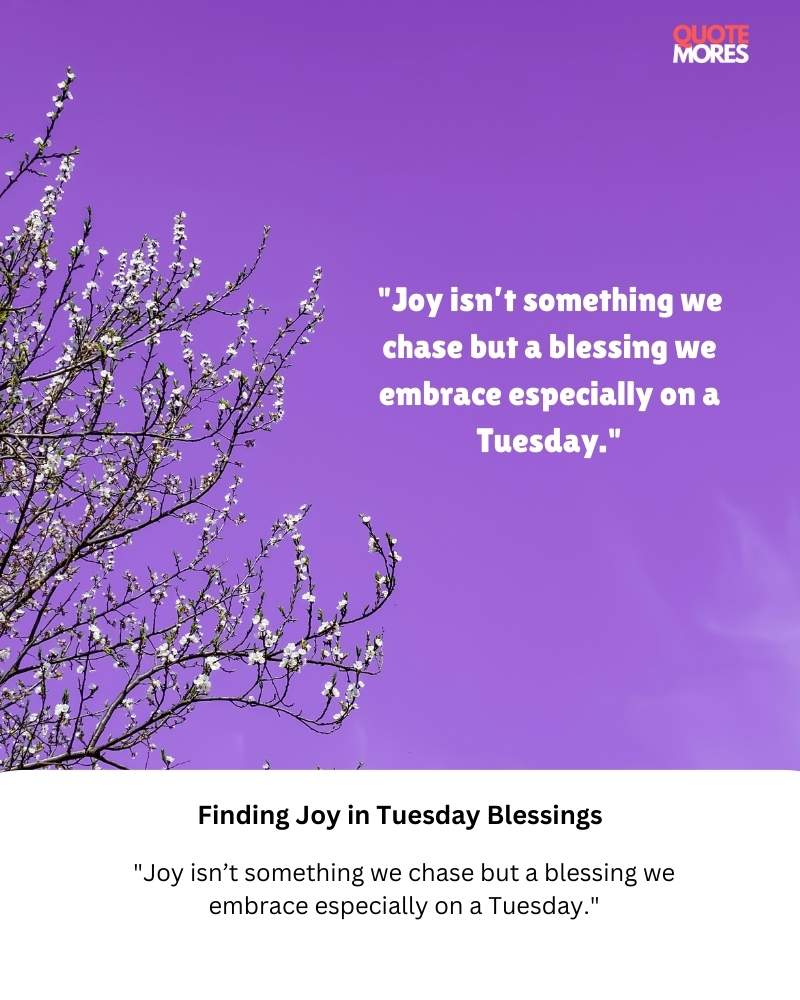 Finding Joy in Tuesday Blessings