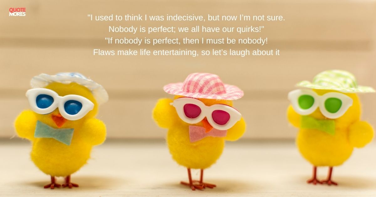 Funny Nobody Is Perfect Quotes