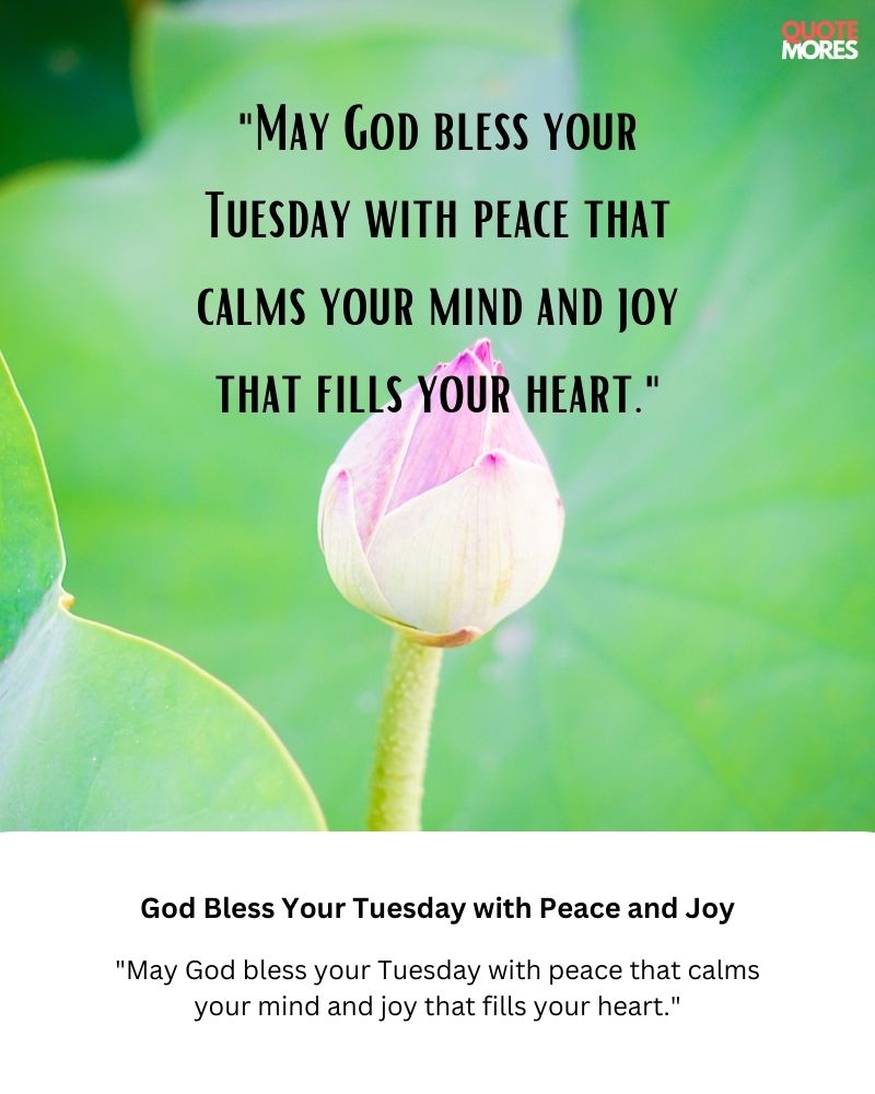 God Bless Your Tuesday with Peace and Joy