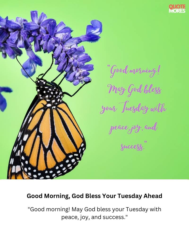 Good Morning, God Bless Your Tuesday Ahead