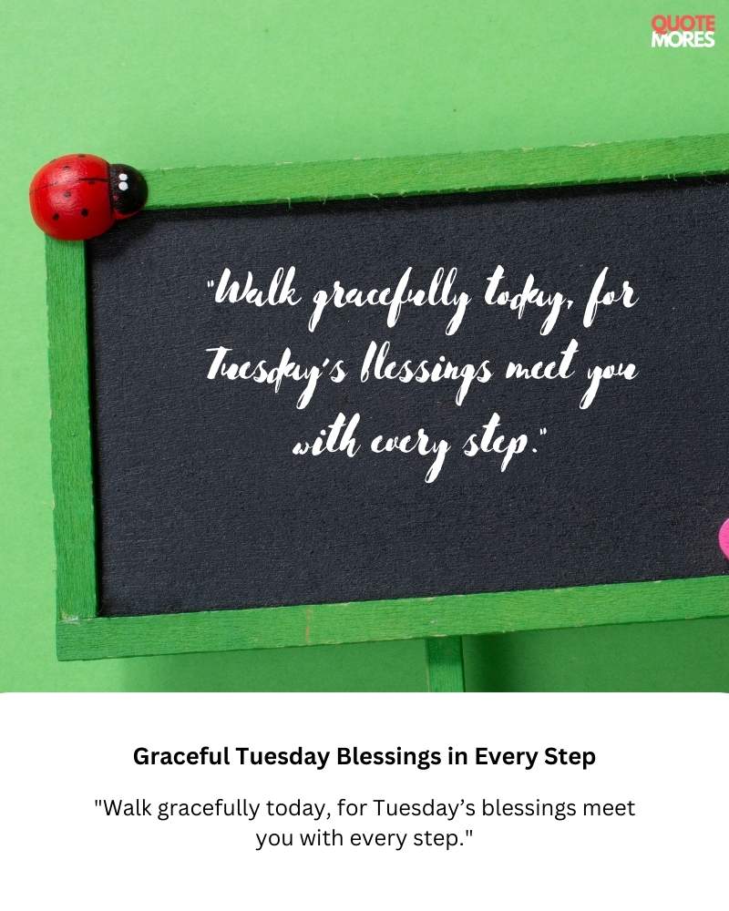 Graceful Tuesday Blessings in Every Step