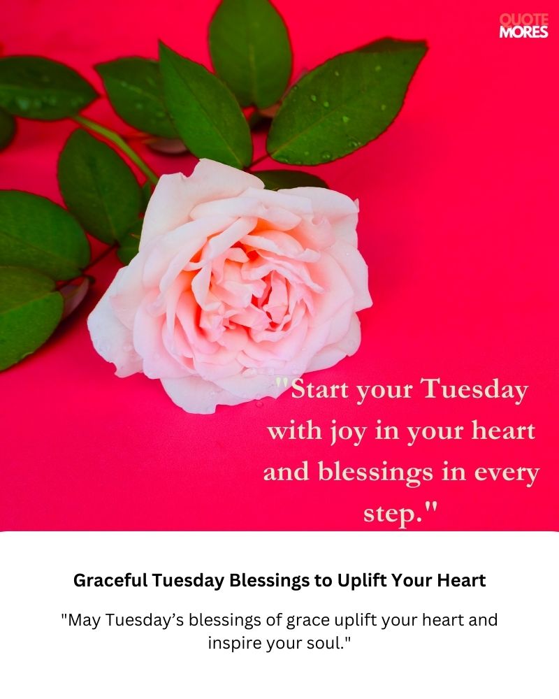 Graceful Tuesday Blessings to Uplift Your Heart