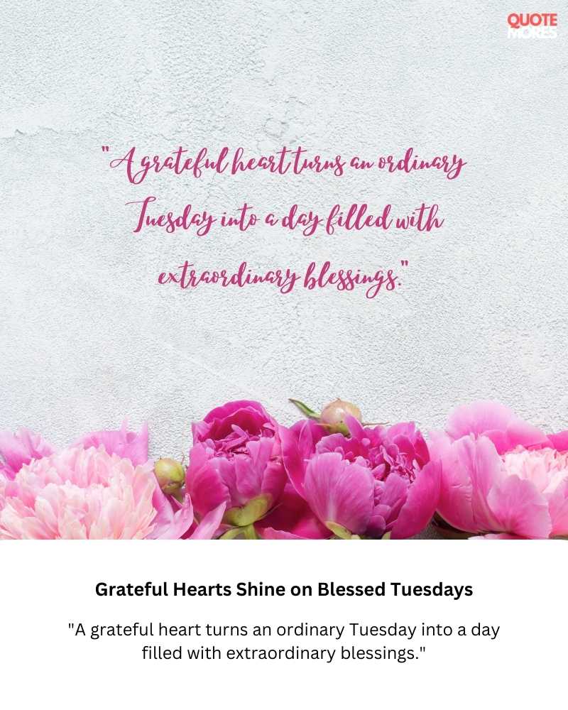 Grateful Hearts Shine on Blessed Tuesdays