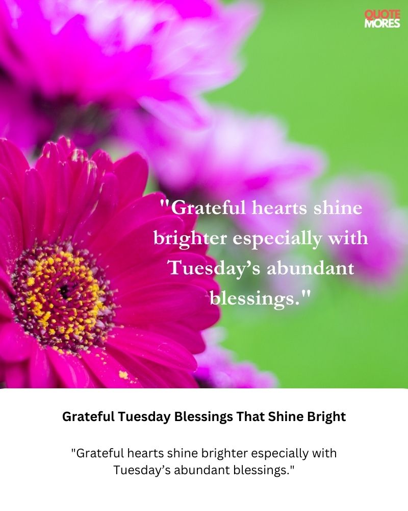 Grateful Tuesday Blessings That Shine Bright