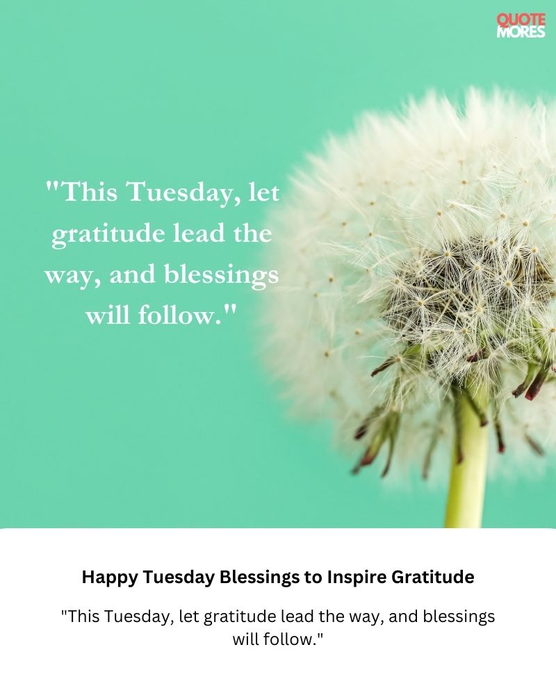 Happy Tuesday Blessings to Inspire Gratitude