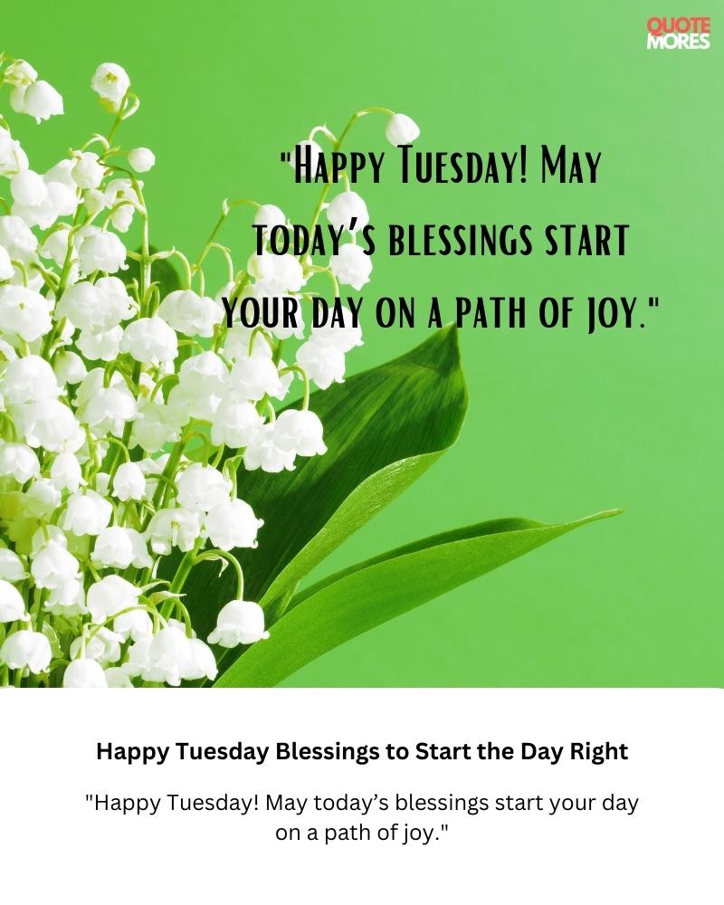 "Happy Tuesday! May today’s blessings start your day on a path of joy."