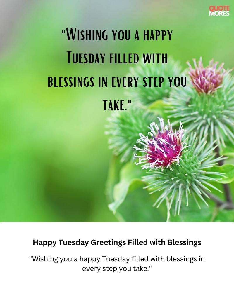 Happy Tuesday Greetings Filled with Blessings