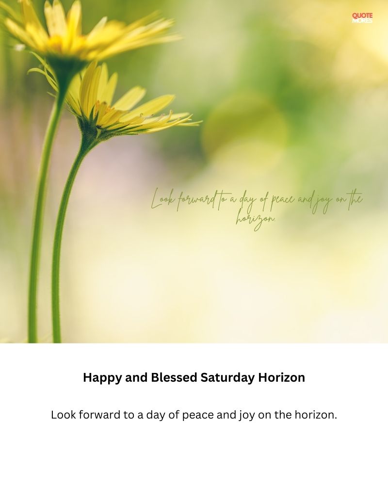 Happy and Blessed Saturday Horizon