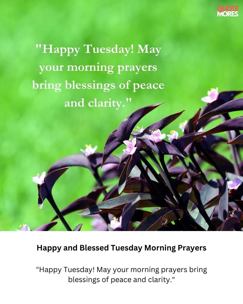 Happy and Blessed Tuesday Morning Prayers