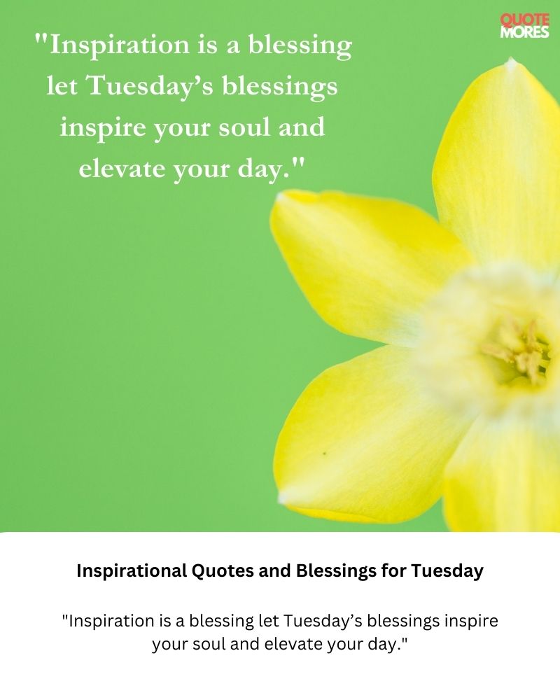 Inspirational Quotes and Blessings for Tuesday