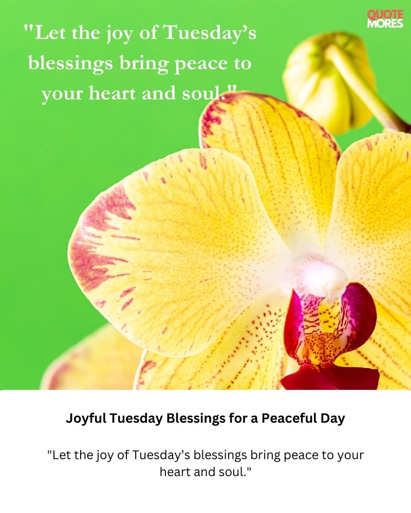 Joyful Tuesday Blessings for a Peaceful Day