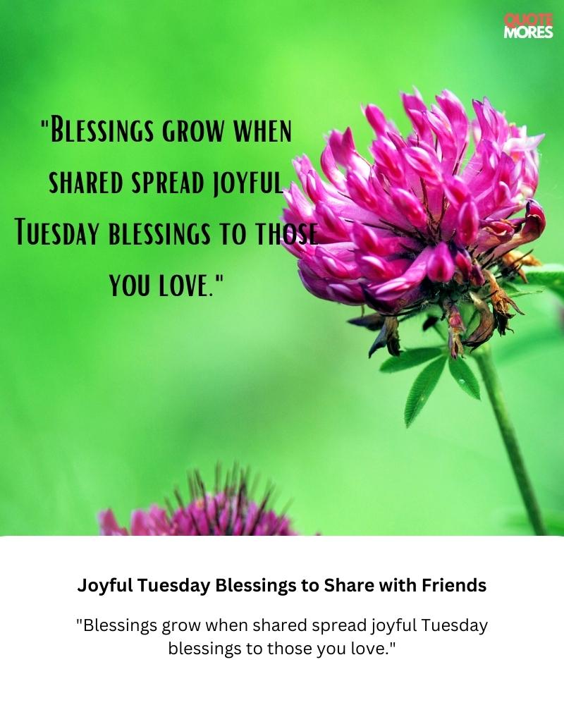 Joyful Tuesday Blessings to Share with Friends