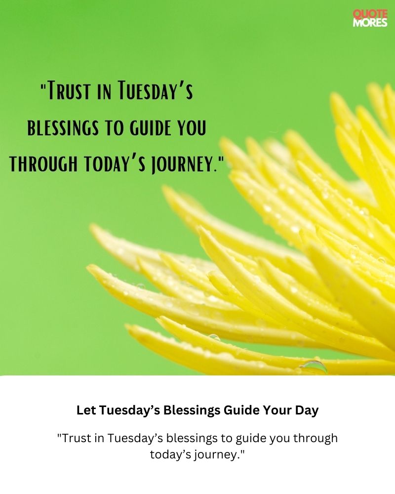 Let Tuesday’s Blessings Guide Your Day