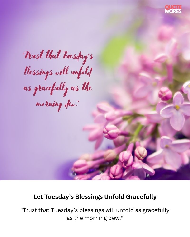 Let Tuesday’s Blessings Unfold Gracefully