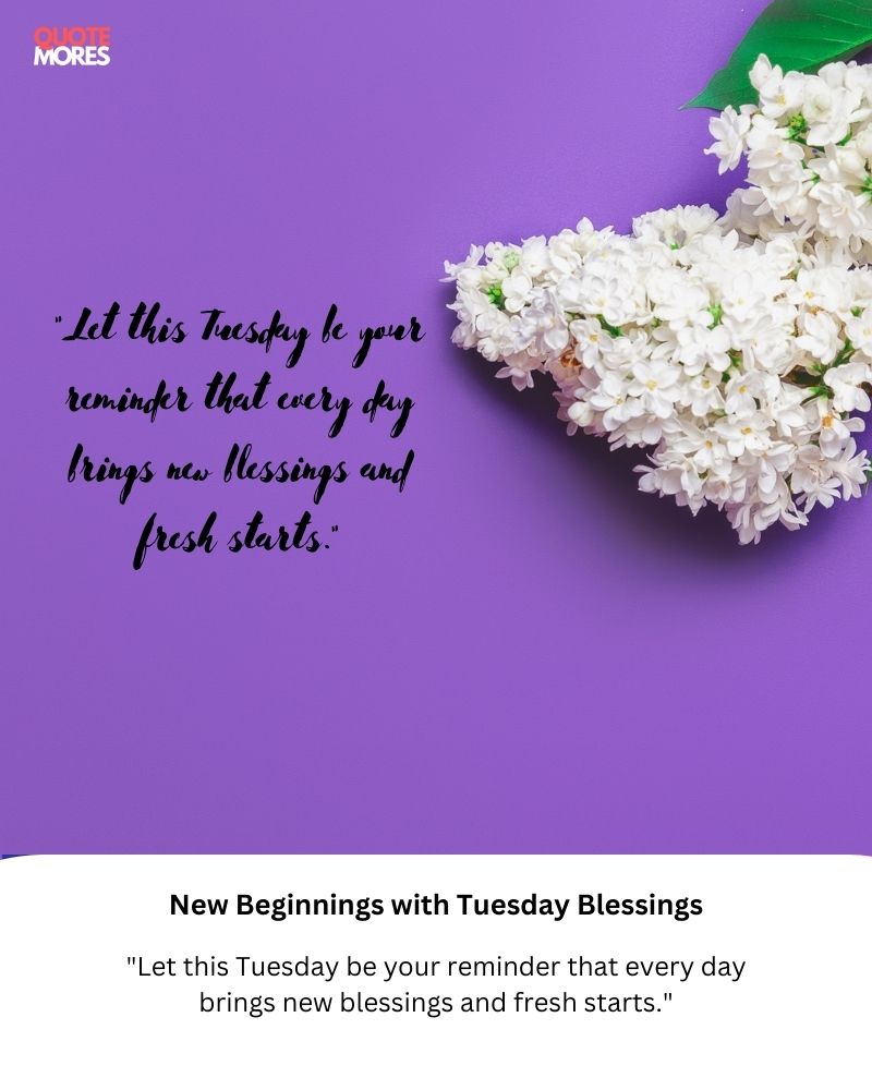 New Beginnings with Tuesday Blessings