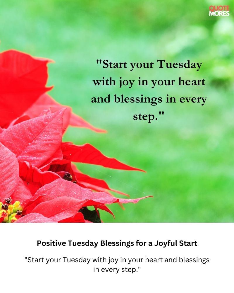 Positive Tuesday Blessings for a Joyful Start