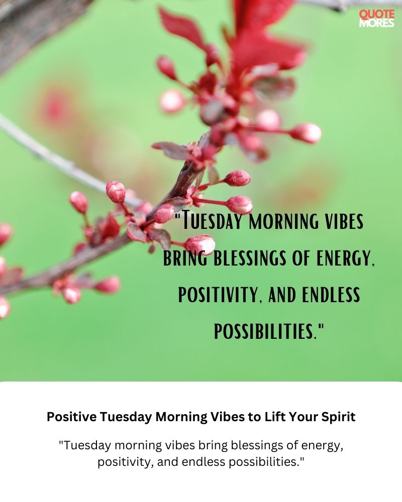 Positive Tuesday Morning Vibes to Lift Your Spirit