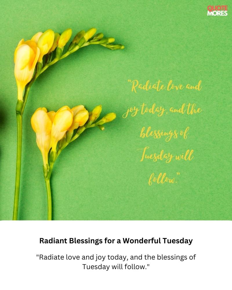 Radiant Blessings for a Wonderful Tuesday