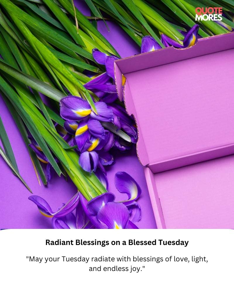 Radiant Blessings on a Blessed Tuesday