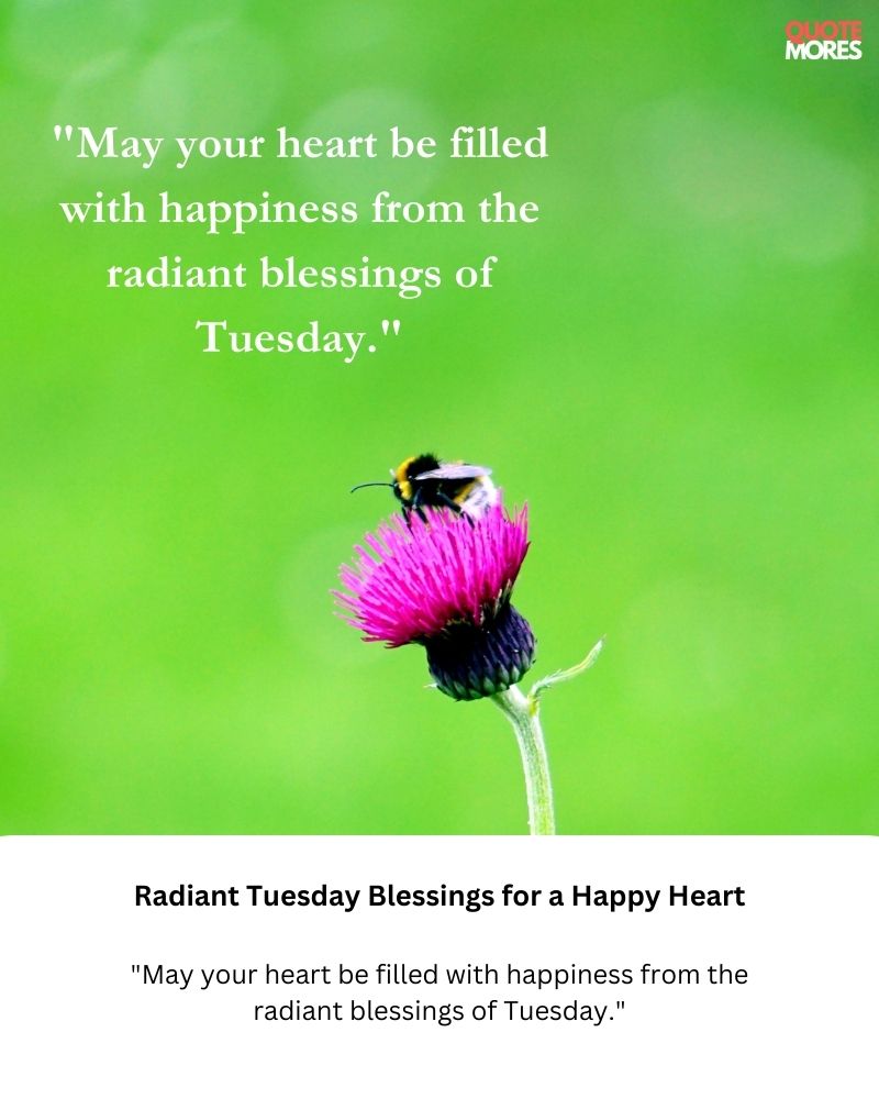 Radiant Tuesday Blessings for a Happy Heart