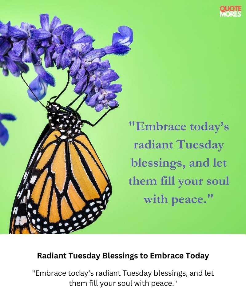 Radiant Tuesday Blessings to Embrace Today