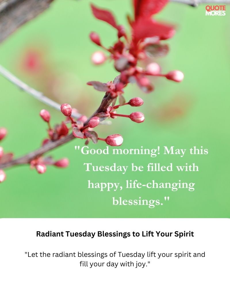 Radiant Tuesday Blessings to Lift Your Spirit