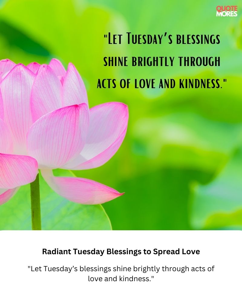 Radiant Tuesday Blessings to Spread Love