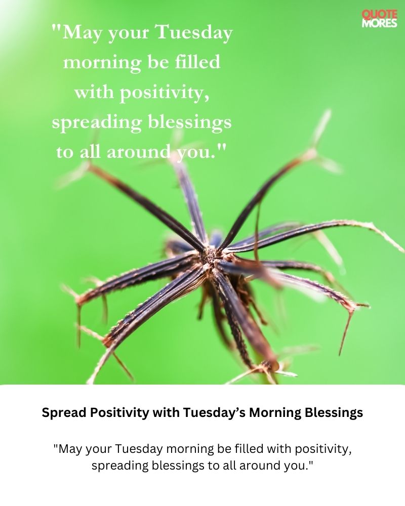 Spread Positivity with Tuesday’s Morning Blessings