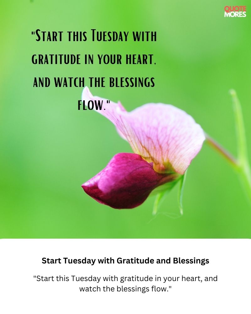 Start Tuesday with Gratitude and Blessings