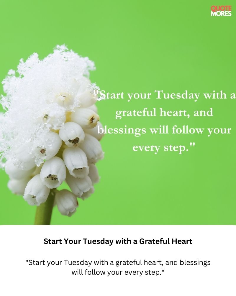 Start Your Tuesday with a Grateful Heart