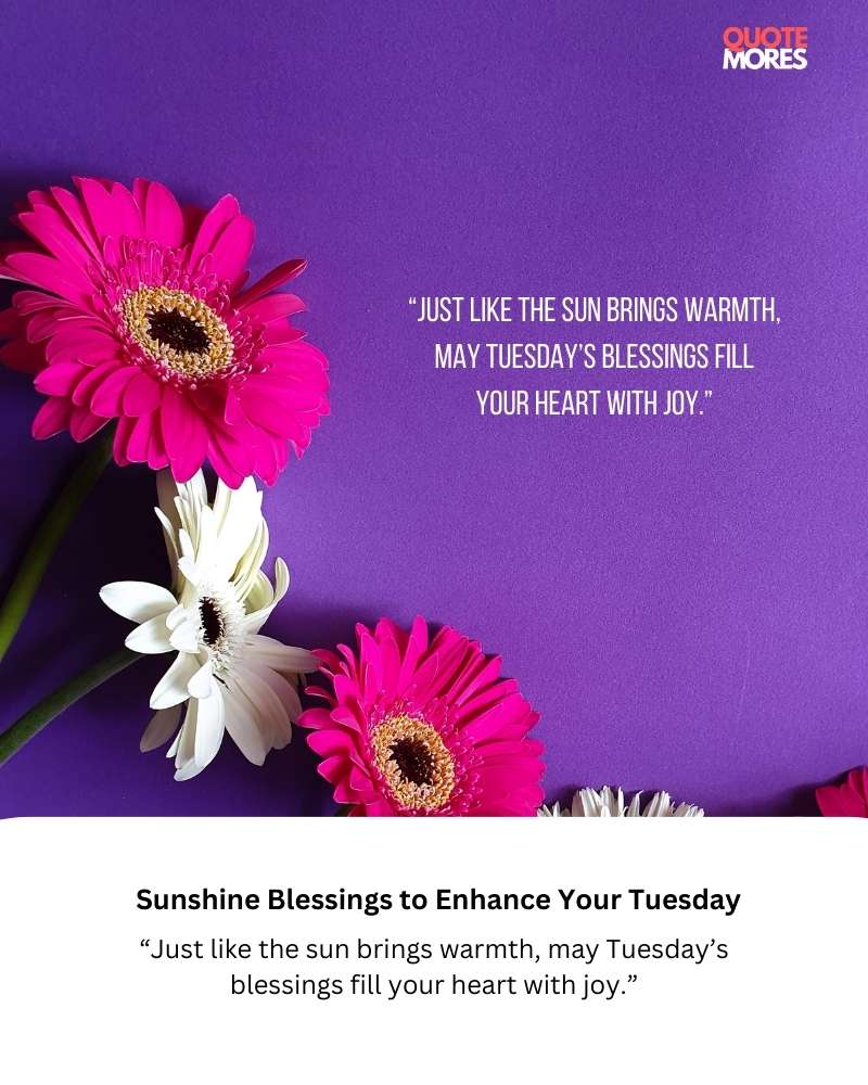 Sunshine Blessings to Enhance Your Tuesday 