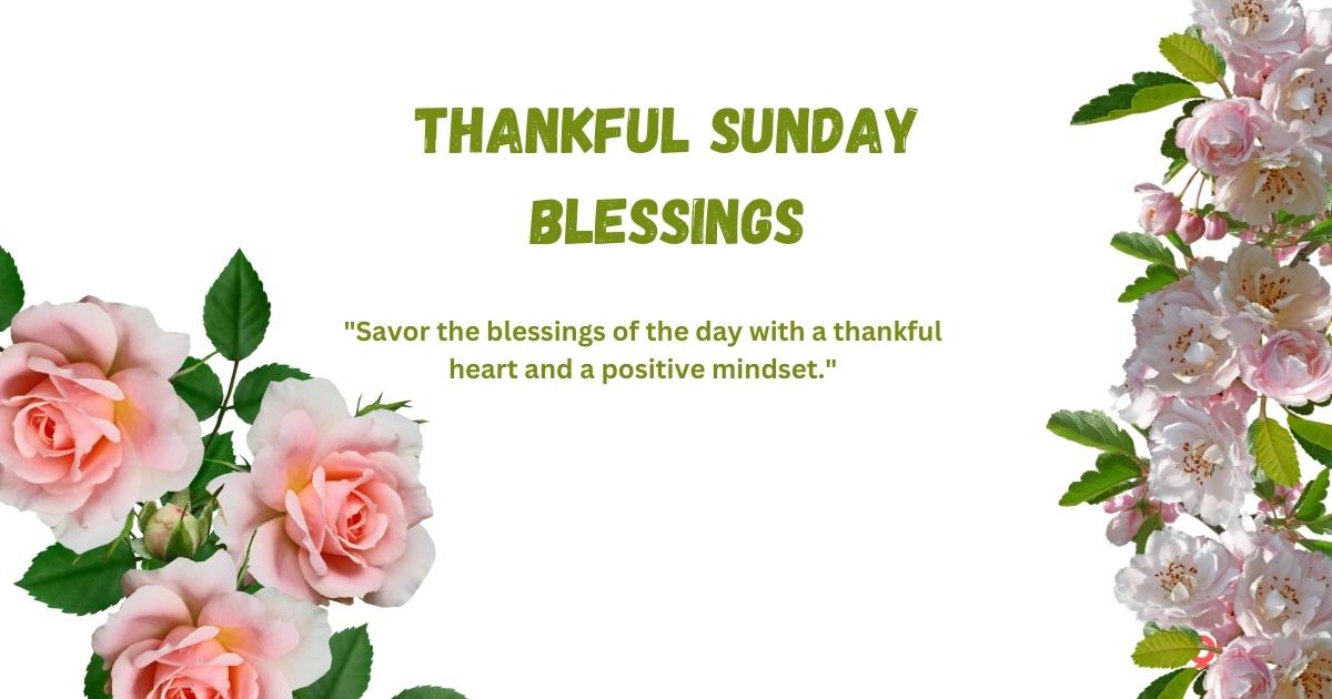 Thankful Sunday Blessings