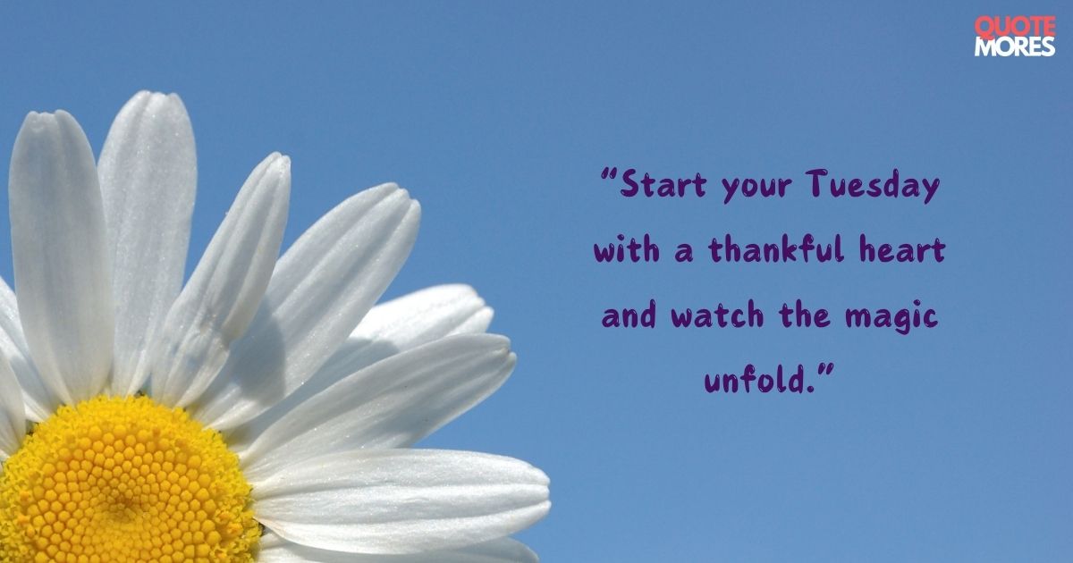 Inspirational Thankful Tuesday Quotes