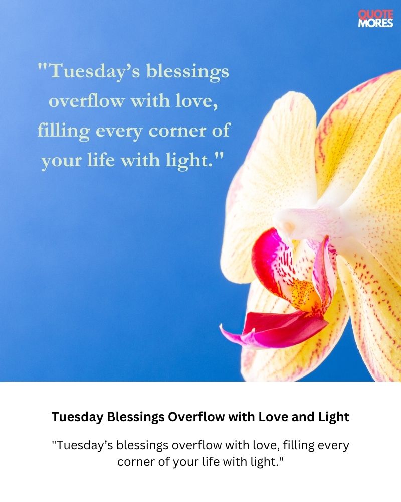 Tuesday Blessings Overflow with Love and Light