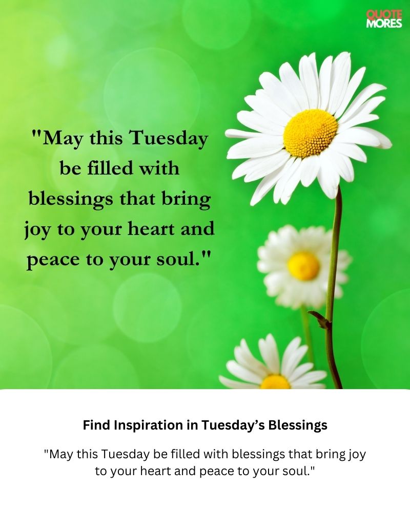 Tuesday Blessings That Fill Your Day with Joy