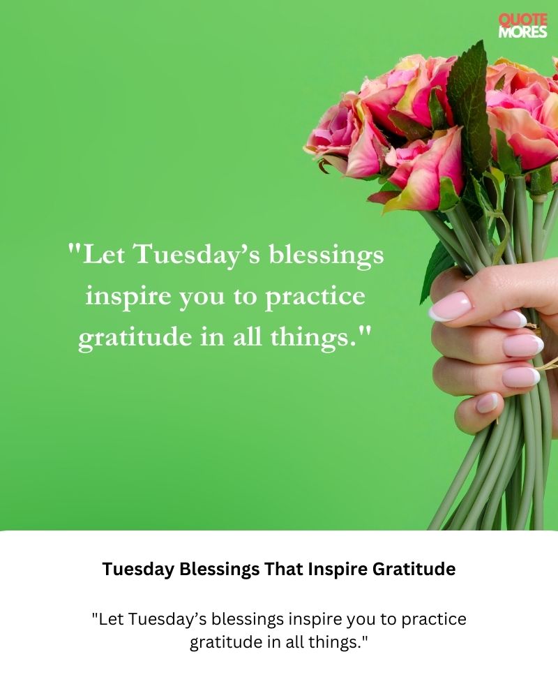 Tuesday Blessings That Inspire Gratitude