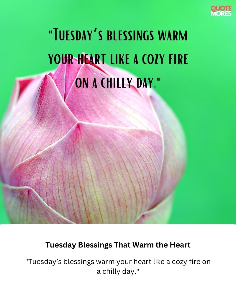 Tuesday Blessings That Warm the Heart